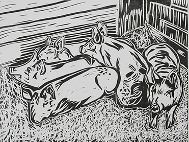 Pigs Drawing
