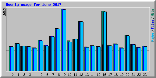 Hourly usage for June 2017