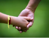 a child and an adult holding hands