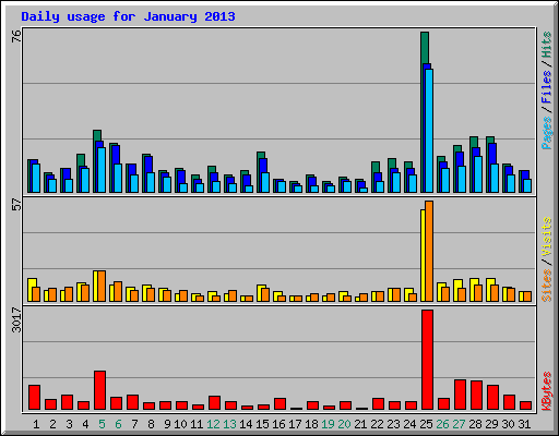 Daily usage for January 2013