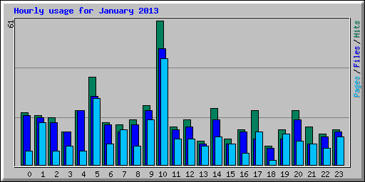 Hourly usage for January 2013