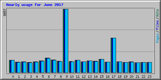 Hourly usage for June 2017