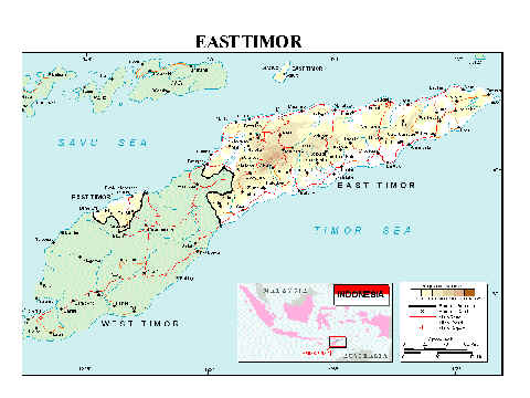 wpe8.jpg (27159 bytes)