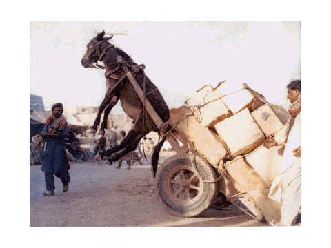 wpeB.jpg (17463 bytes)